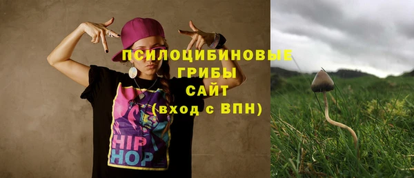 трава Мегион