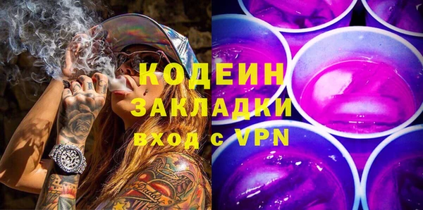шишки Беломорск