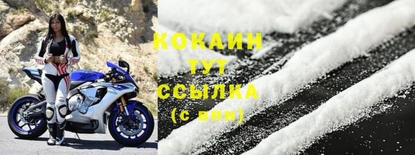 шишки Беломорск