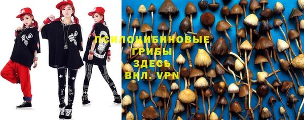 шишки Беломорск