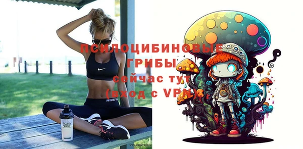 тгк Белокуриха