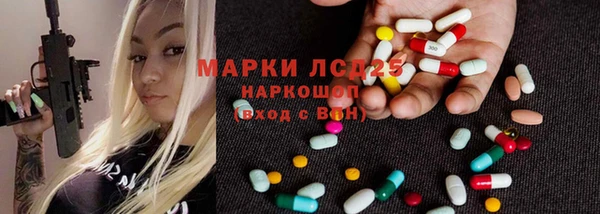 шишки Беломорск