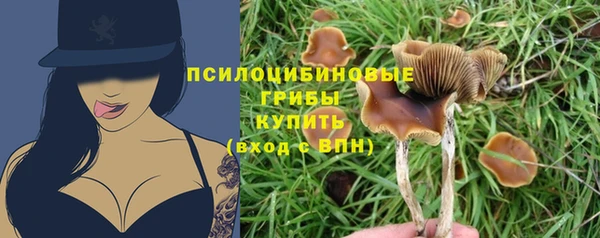 МДПВ Белоозёрский