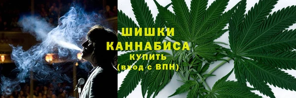 шишки Беломорск