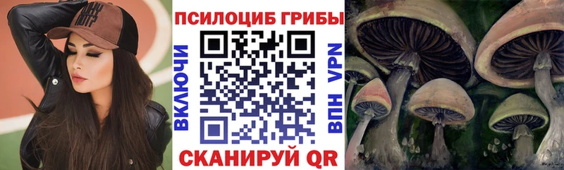 Псилоцибиновые грибы прущие грибы  Красноуфимск 